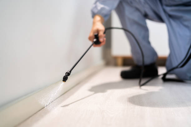 Licensed Pest Control service in Hoopa, CA - Show Me Pest Control