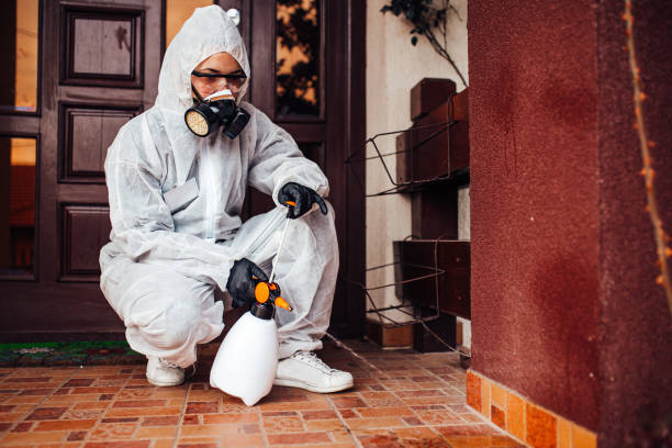Reliable Wasp Removal contractor in Hoopa, CA by Show Me Pest Control